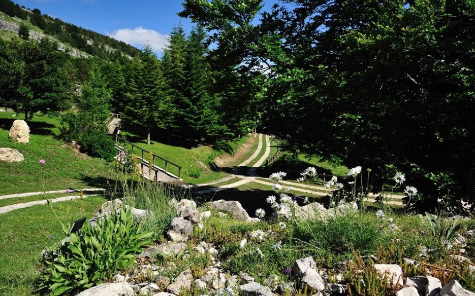 Garden of the Apennine Flora, Italy, Italy